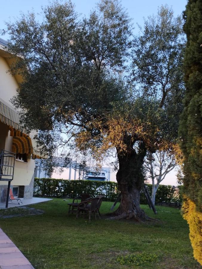 Apartamento Magnolia House Scanzano Jonico Exterior foto